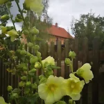 Hof Janne Stapelburg