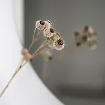 Hof Janne Stapelburg