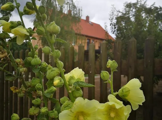 Hof Janne Stapelburg