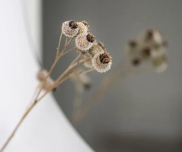 Hof Janne Stapelburg